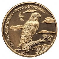 2008 r. 2 zł Sok&oacute;ł Wędrowny