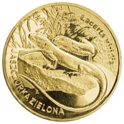 2 zł - Jaszczurka zielona (łac. Lacerta viridis)