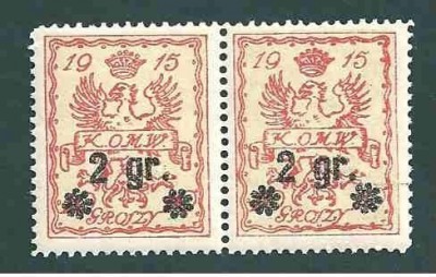 1916 r.  Wyd. Przedrukowe Fi 9a**.