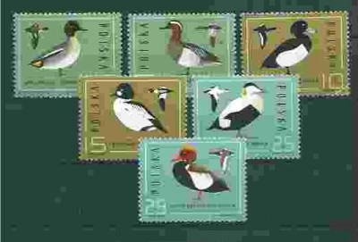 1985 r.   Ptaki - dzikie kaczki Fi 2850 - 2855**.