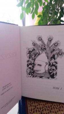 KSIĄŻKA - KRZYŻACY