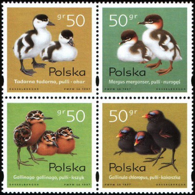 1997 r. Fi 3538 - 3541**.