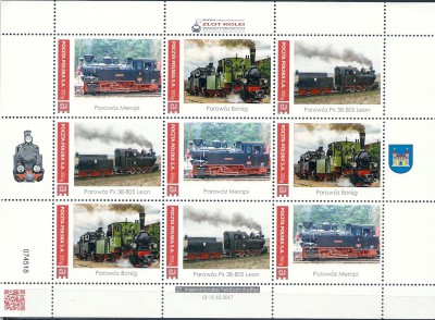 2017 r. Ark Zlot Kolei Wąskotorowych.**