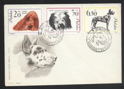 Psy rasowe - FDC i kasowniki - polecam