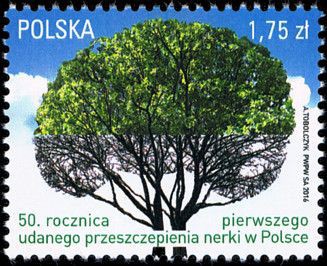 2016 r. Fi 4668**.