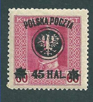 1919 r. Wyd. Lubelskie Fi 24* z gwar.