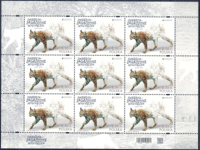 2021 r Ark 5141** EUROPA