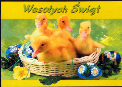 KO Gorz&oacute;w  Bremen (2)