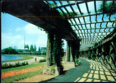 Wrocław 26 pergola w Parku Szczytnickim