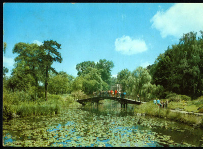 Wrocław 42 Ogr&oacute;d Botaniczny