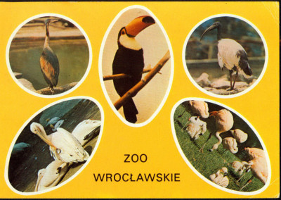 Wrocław 66 ZOO