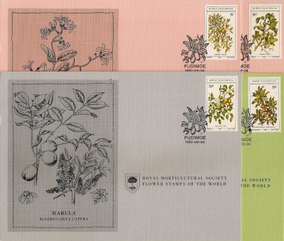 RHS Maximum Card -  Bophuthatswana 1980