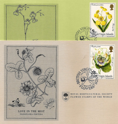 RHS Maximum Card -  British Virgin Islands 1981