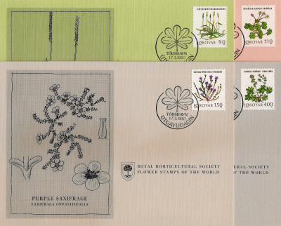 RHS Maximum Card -  Faroe Islands 1980