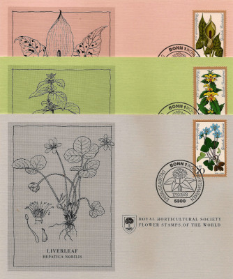 RHS Maximum Card -  Germany Bonn 1978