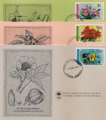 RHS Maximum Card - Nicaragua 1979