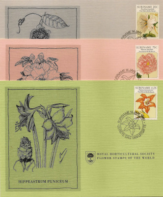 RHS Maximum Card - Suriname 1981
