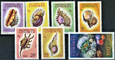 KOMORY FRANCUSKIE 1962- muszle-życie morskie.