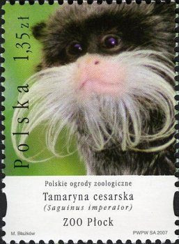 2007 r. Fi 4177 - 4180**.