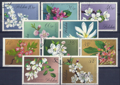 1971 r Fi 1985 - 1994 kas