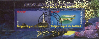 2010 r Latarnie Kongo Blok 70**