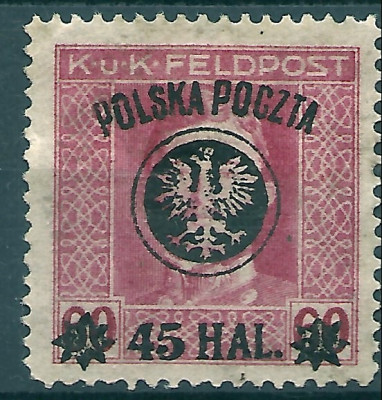 1919 r. Wyd. Lubelskie Fi 24*.z gwar.