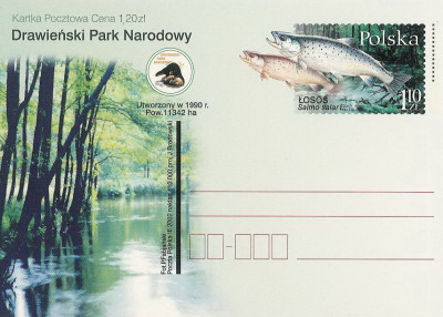Cp. 1274 - Drawieński Park Narodowy