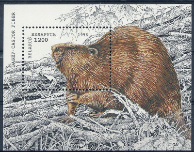 1996 r Białoruś Blok 6**