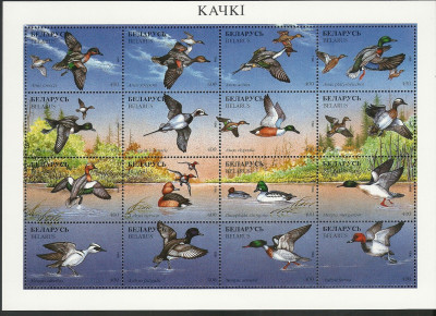 1996 r Białoruś Ark 173 - 188**