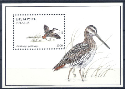 1996 r Białoruś Blok 13**