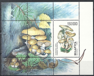 1999 r Białoruś Blok 17**
