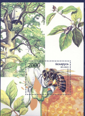 2004 r Białoruś Blok 39**