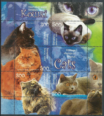 2004 r Białoruś Blok 43**