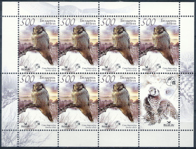 2007 r Białoruś Ark 700**