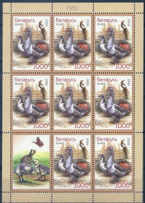 2009 r Białoruś Ark 793**