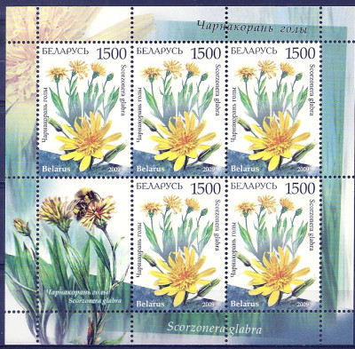 2009 r Białoruś Ark 795 - 796**