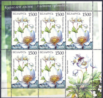 2009 r Białoruś Ark 795 - 796**