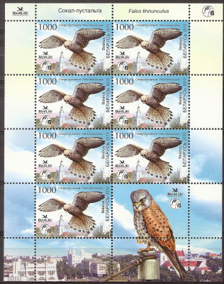 2010 r Białoruś Ark 824**