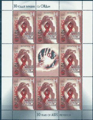 2011 r Białoruś Ark 880**