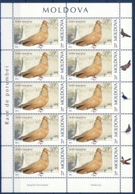 2012 r Mołdawia Ark 807 **