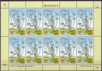 2004 r Mołdawia Ark 503 **