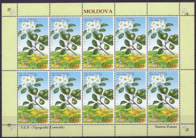 2004 r Mołdawia Ark 504 **