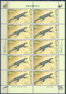 2005 r Mołdawia Ark 527 **