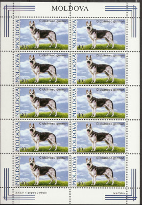 2006 r Mołdawia Ark 567**