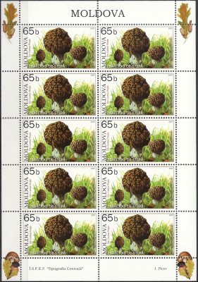 2007 r Mołdawia Ark 580**