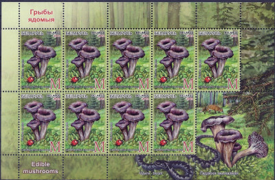 2013 r Białoruś Ark 983**