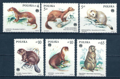 1984 r. Ark 2798- 2803**.