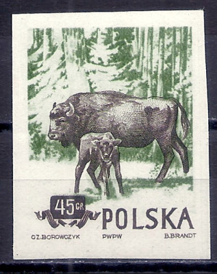 1954 r. Luzak Fi 743**.