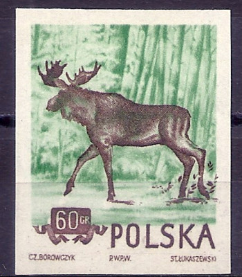 1954 r. Luzak Fi 744**.