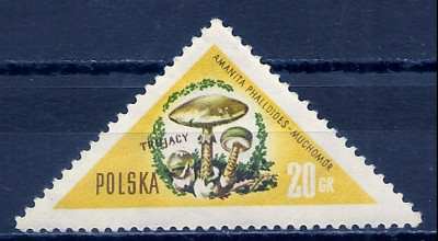 1959 r. Luzak Fi 948**.